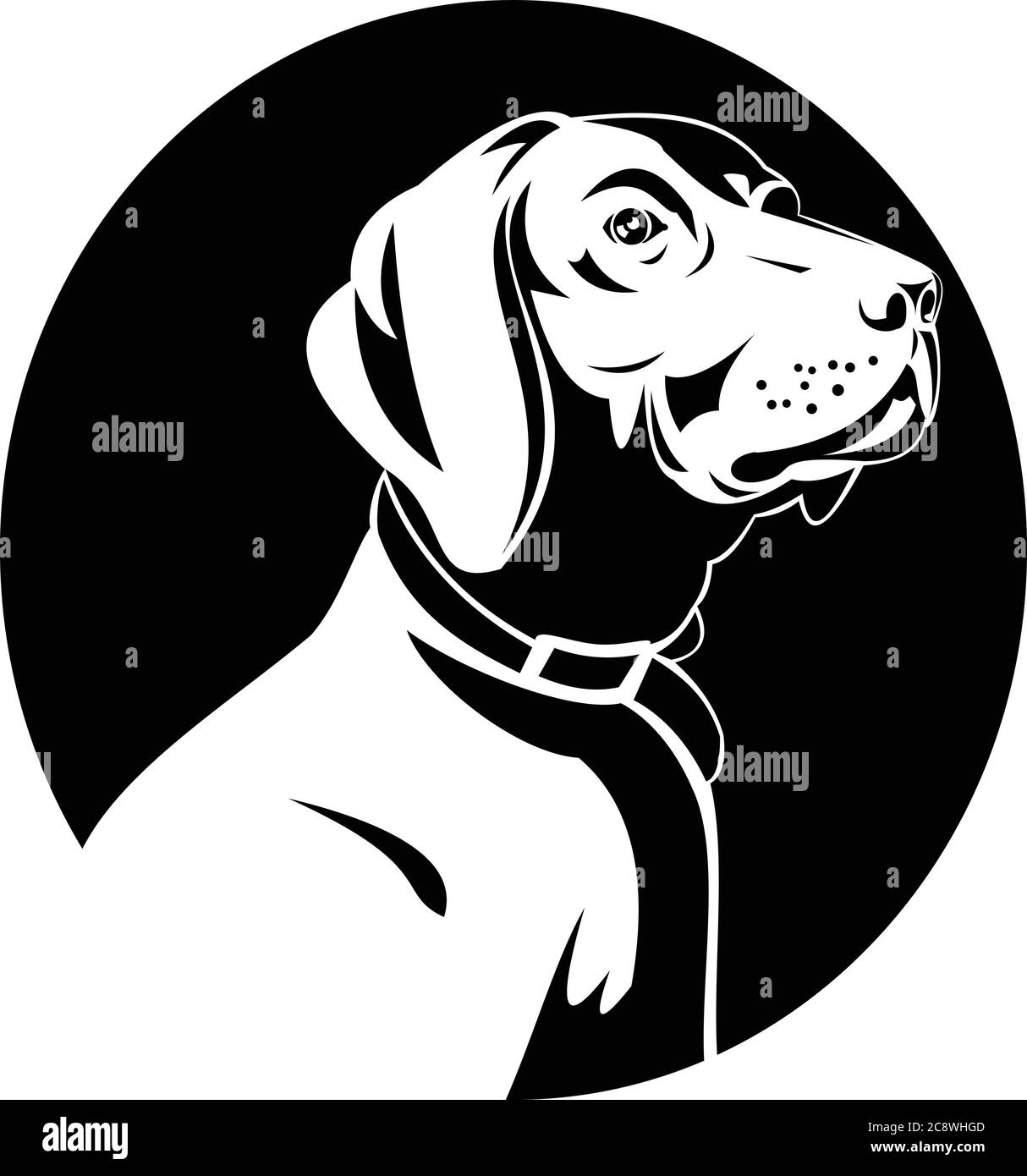 Retro style illustration of head of a German Shorthaired Pointer, a medium to large sized breed of hunting and gun dog developed in Germany isolated b Stock Vector