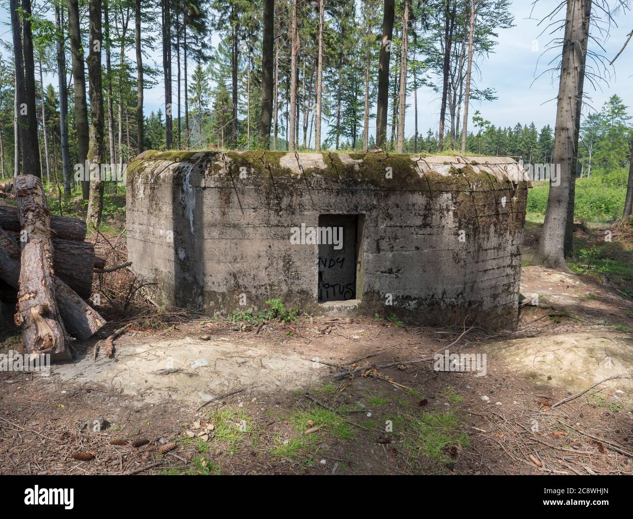 Abandoned World War Two concrete bunker Ropik in spruce tree forest in lusitian mountains near Czech Republic Germany borders Stock Photo