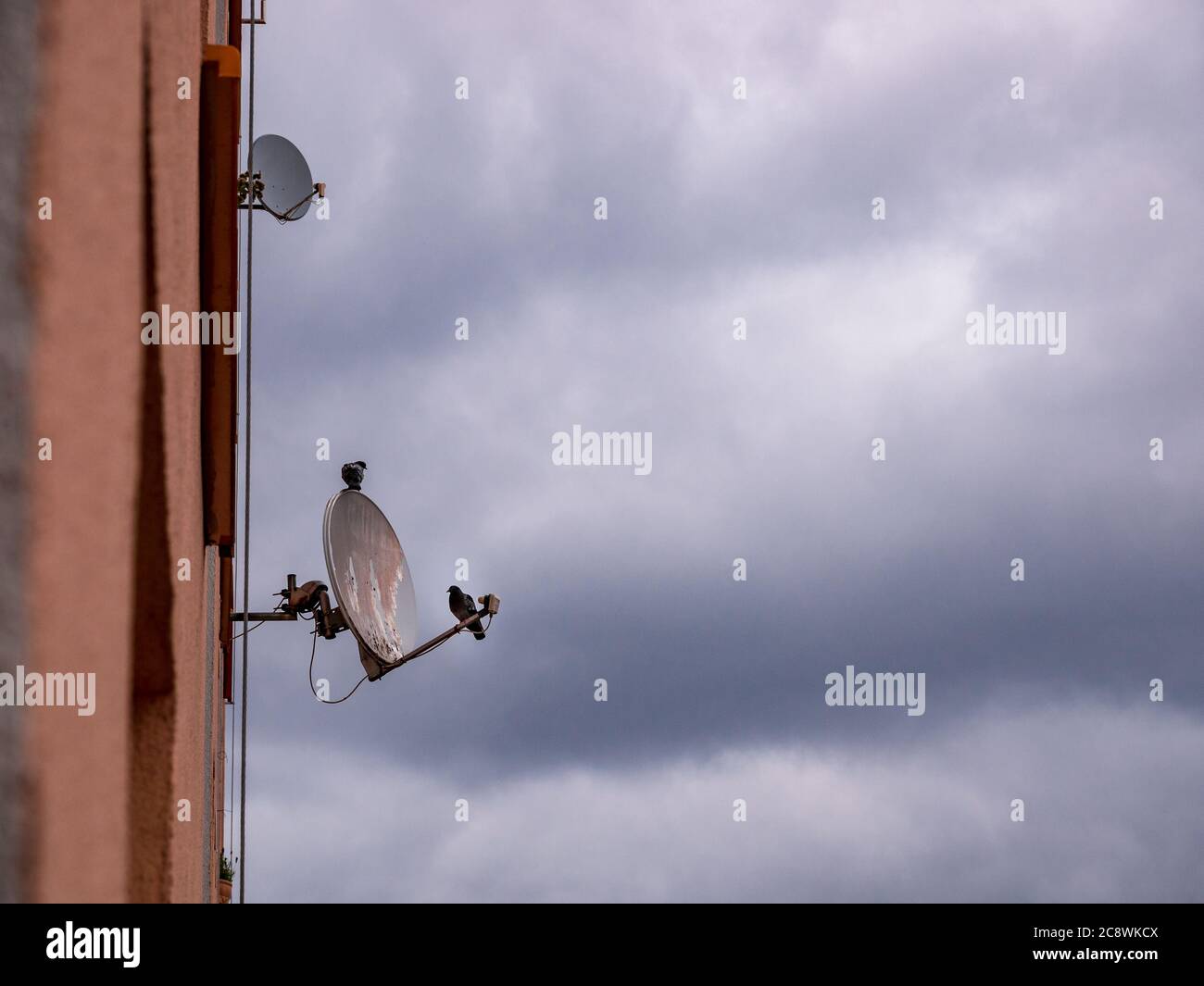 Two pigeons sitting on an old satellite antenna Stock Photo