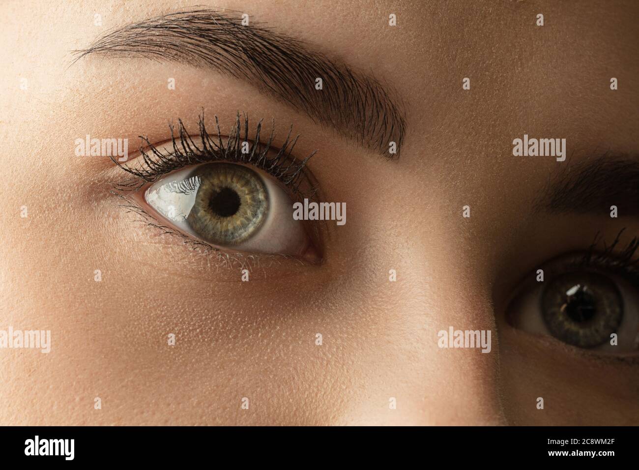 Close up of face, eyes of beautiful caucasian young woman, clear look