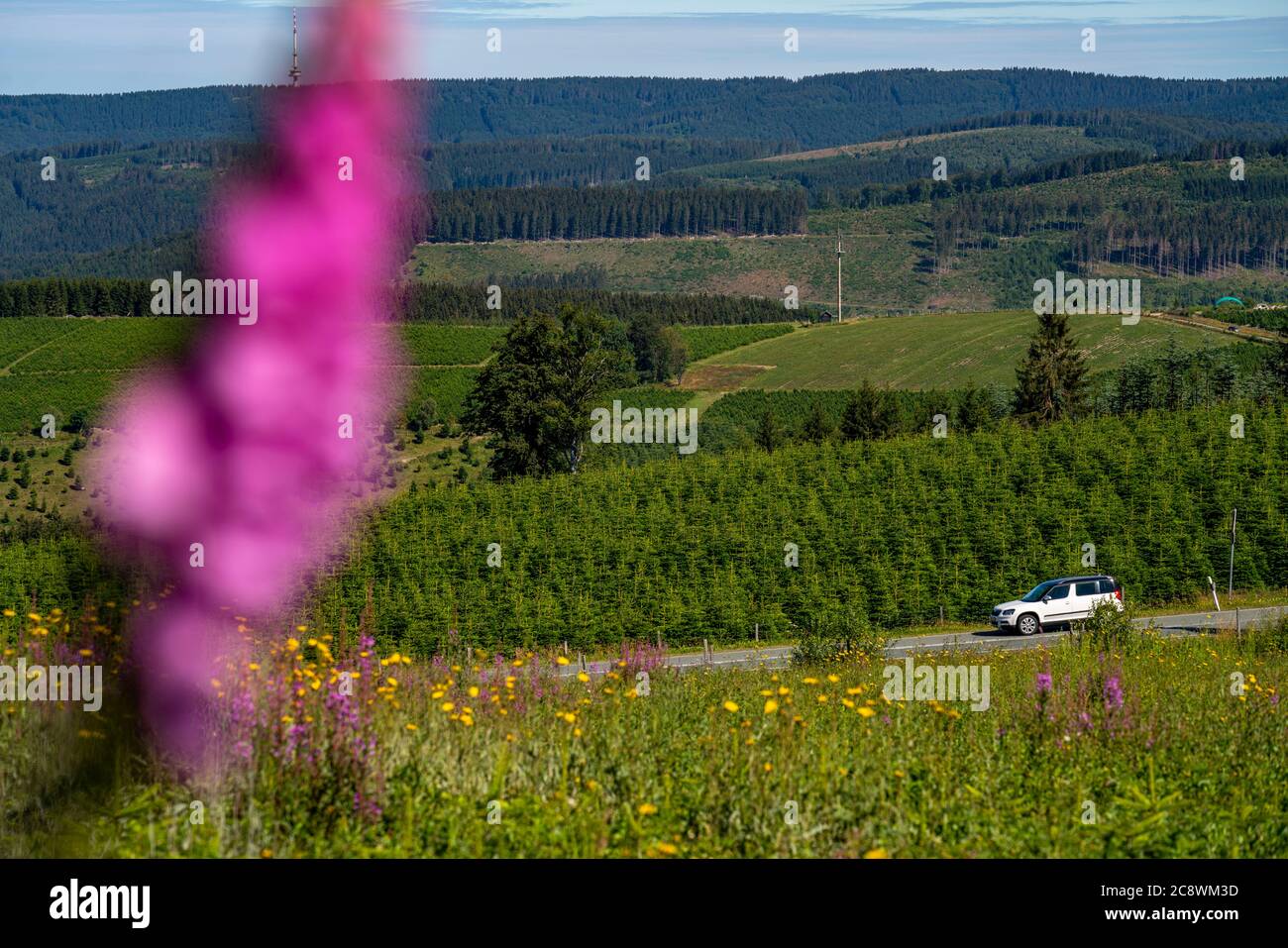 Hochsauerland-Höhenstrasse, country road, panoramic view route, near  Hoheleye, district of Winterberg, B 236, Hochsauerlandkreis, NRW, Germany  Stock Photo - Alamy