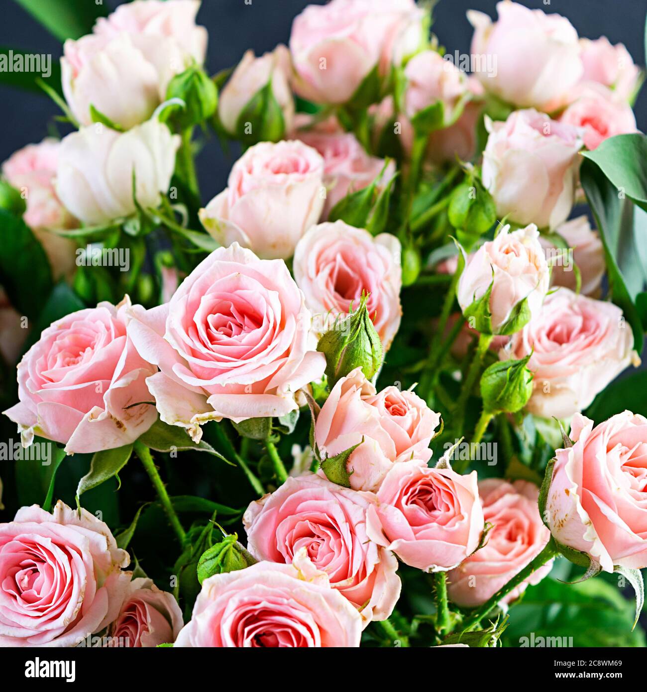 Bouquet of several branches of pink roses. Background of pink roses ...