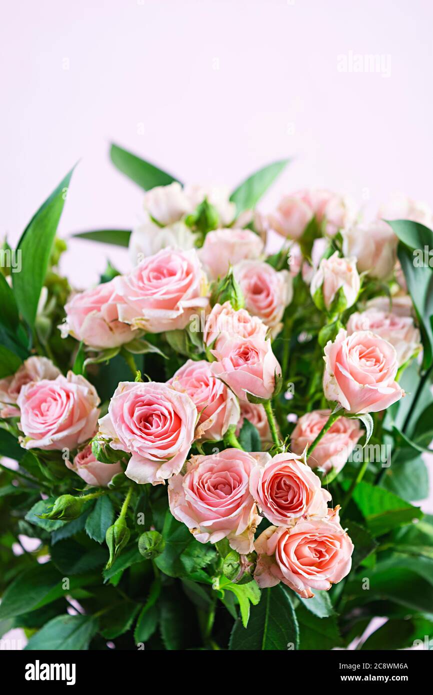 Bouquet of several branches of pink roses. Background of pink roses ...