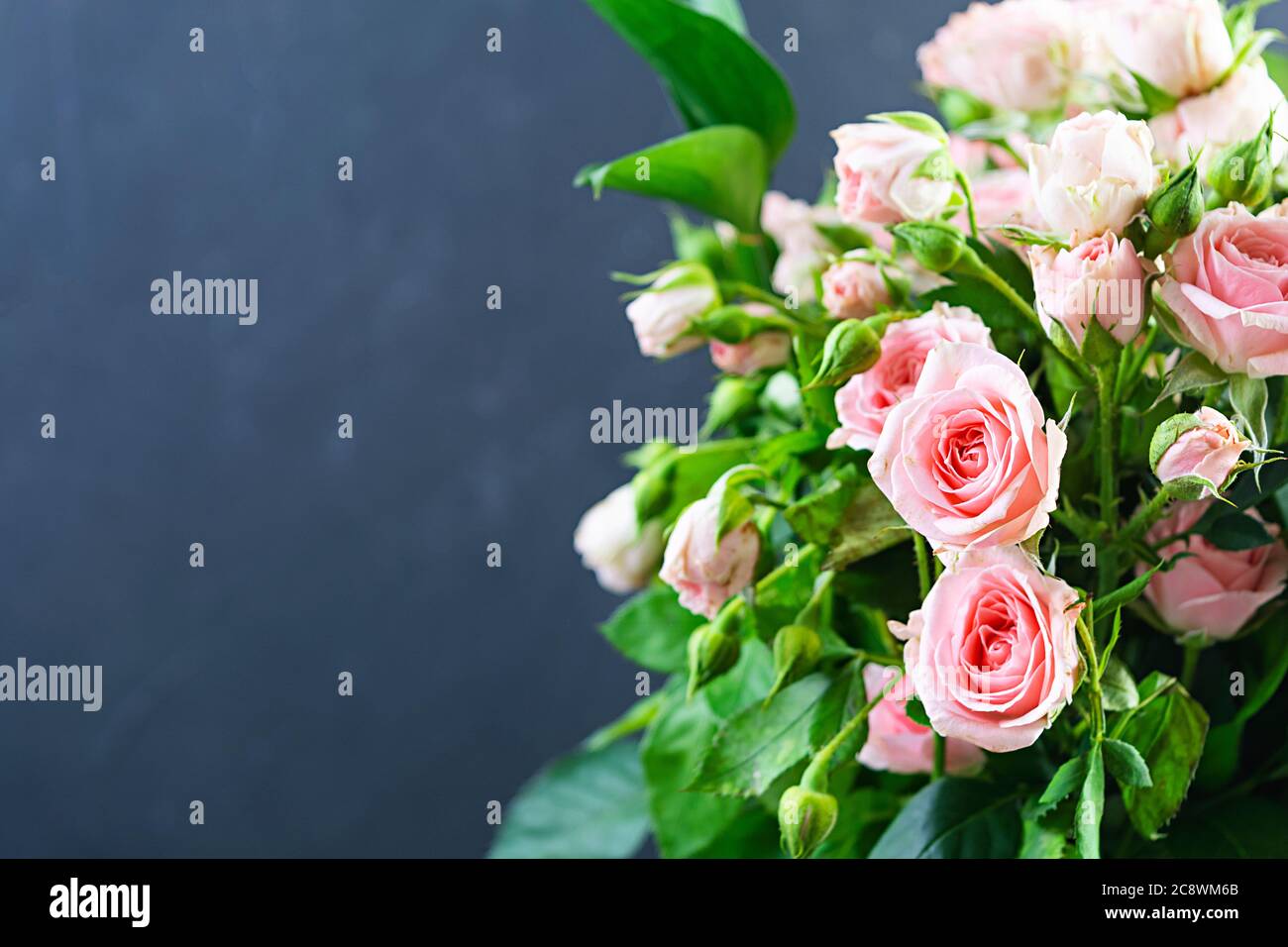 Bouquet of several branches of pink roses. Background of pink roses ...