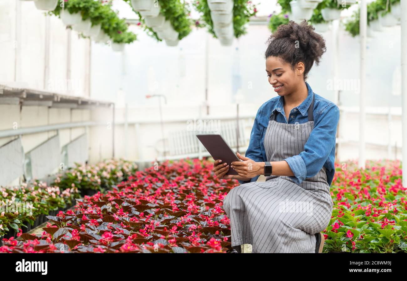 Engineer test plants and analyze data with tablet. African american girl looking at tablet in greenhouse Stock Photo