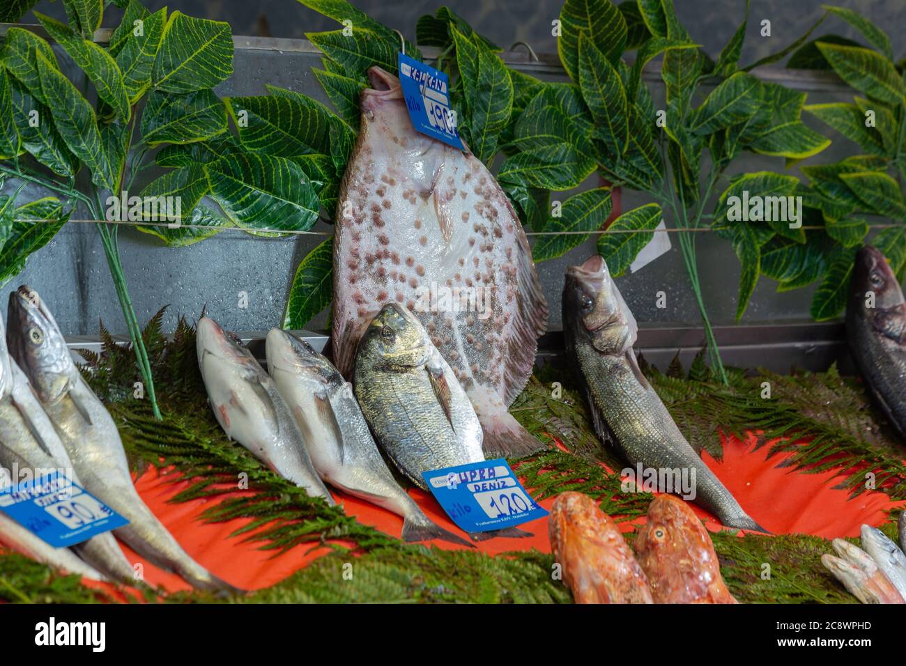 Fresh fishes on a fish market counter. Containing bream fish, sea bass, turbot fish, brushteeth lizardfish, hogfish with their prices in Istanbul. Stock Photo