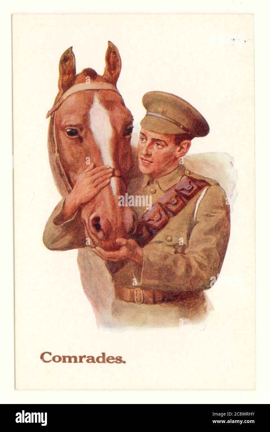 Example of  WW1 era illustrated postcard depicting sentiment towards war horses  -  cavalry soldier with his horse, inscribed 'comrades', The cavalryman wears a bandolier or bullet belt. U.K. 1914-1918 Stock Photo