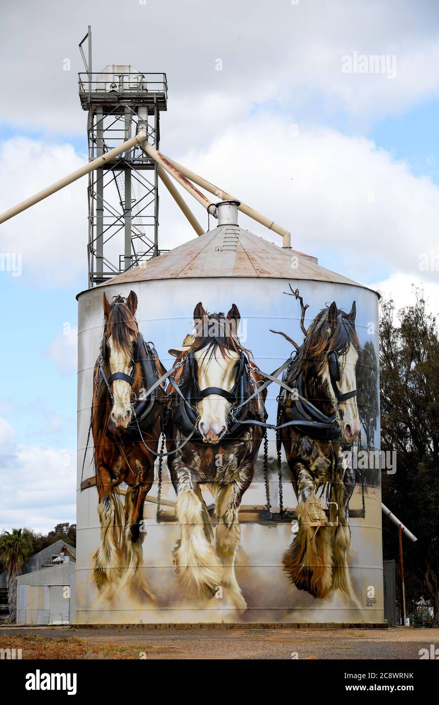 Silo Art Trail. Goorambat Australia. Jimmy DVATE's work of Shire horses on the town's grain silo is hugely popular with tourists. Stock Photo