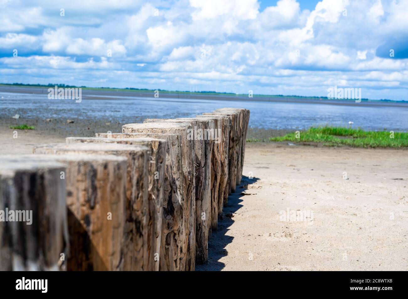 small wooden poles at low tide in the Wadden Sea in Friesland Stock Photo