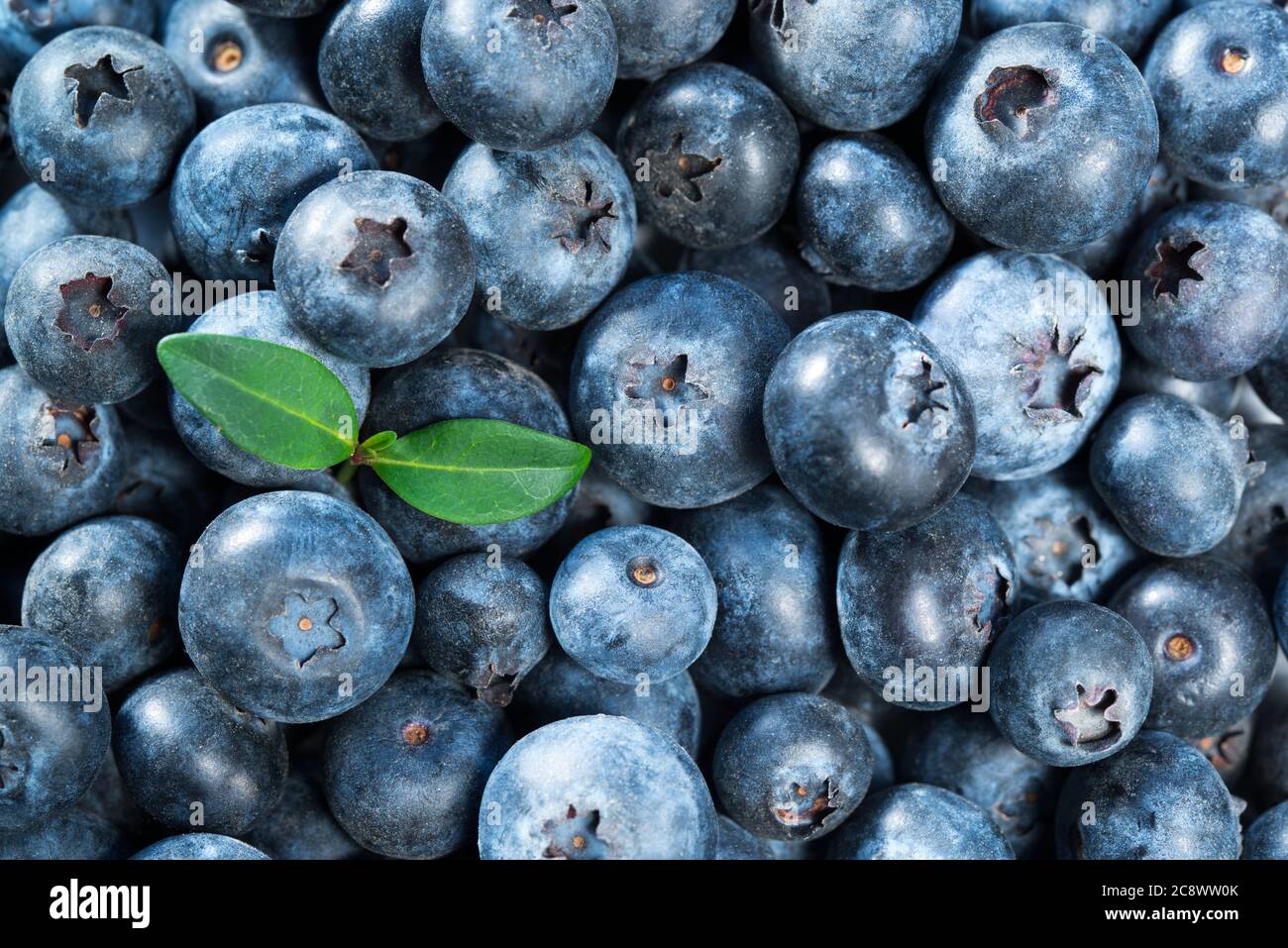 Fresh ripe blueberry berries, nature food background Stock Photo - Alamy
