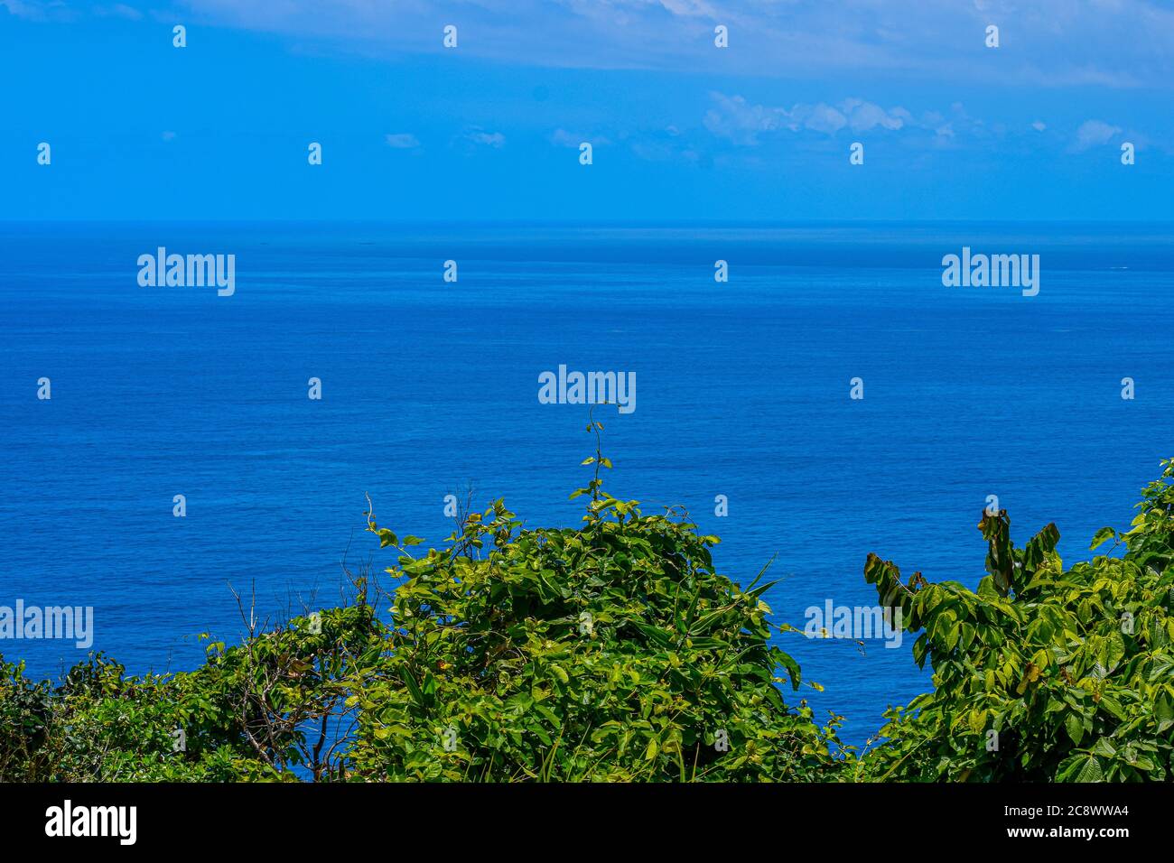 Peni hi-res stock photography and images - Page 7 - Alamy