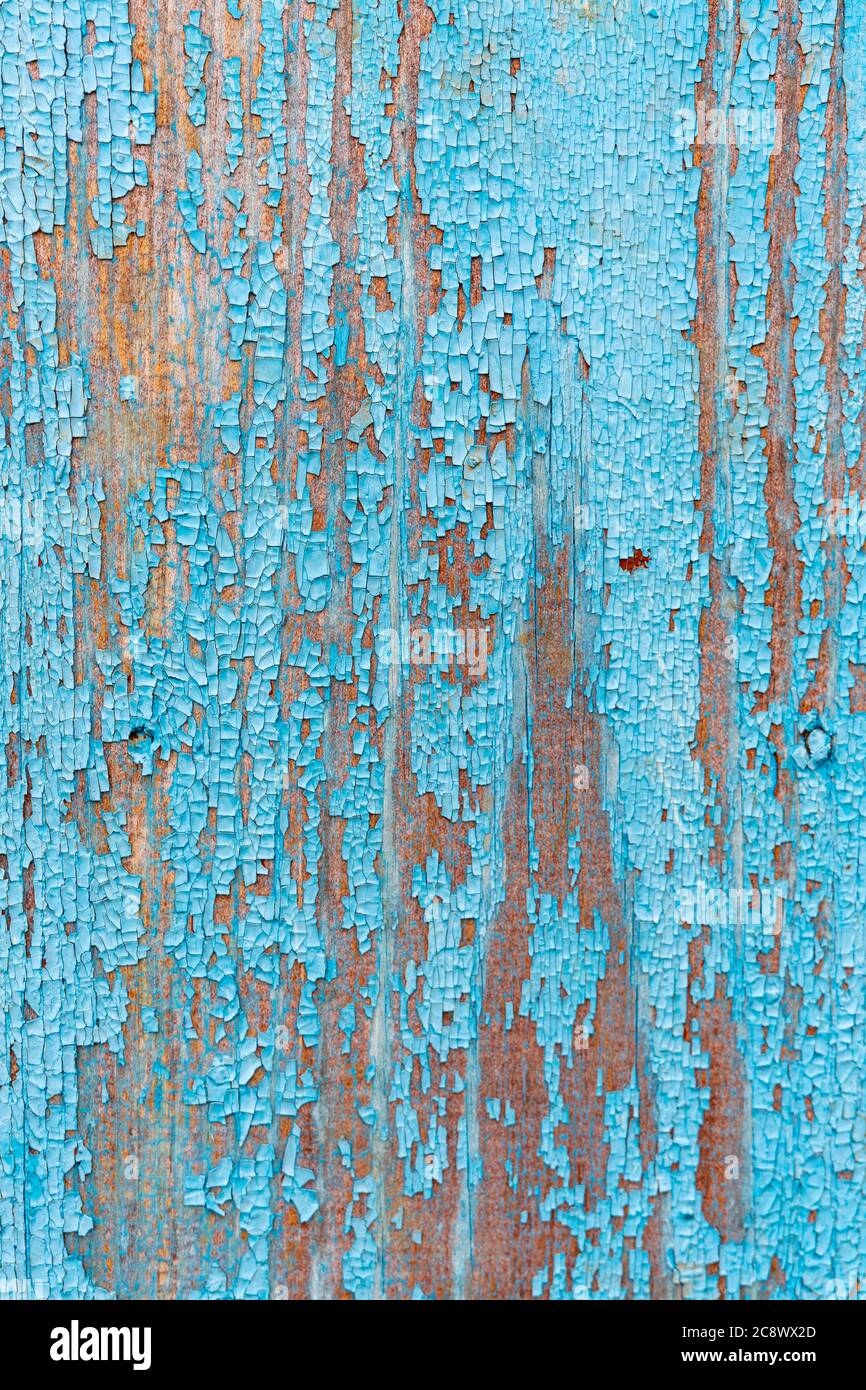 old shabby blue wooden fence. contrast breaks Stock Photo