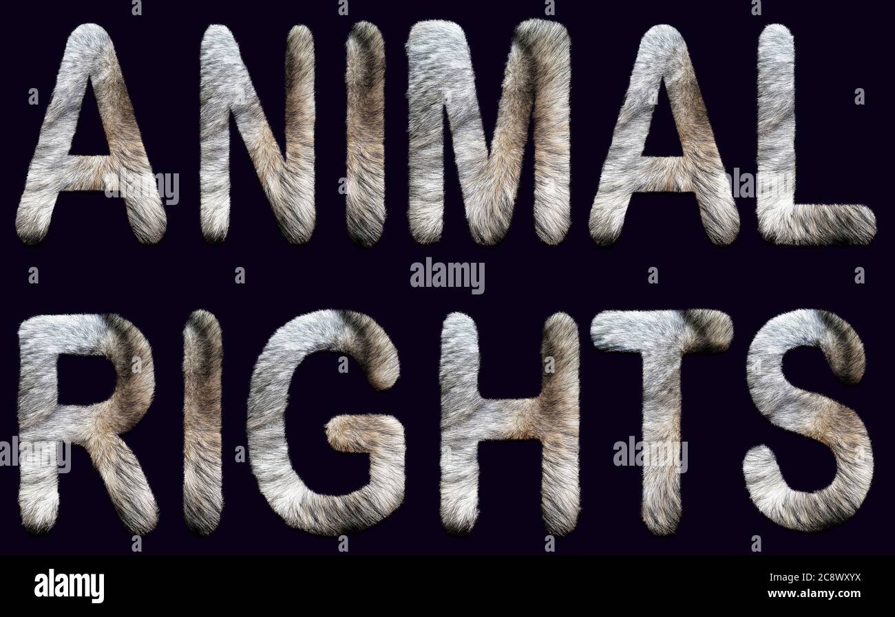 animal rights phrase written in capital letters with fur inside. concept for animalism, vegan life, ethical, nonviolence, activism Stock Photo