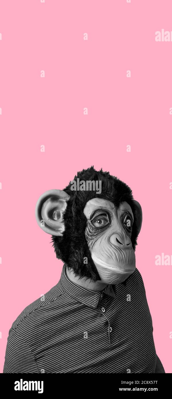 Download Monkey Mask High Resolution Stock Photography And Images Alamy PSD Mockup Templates