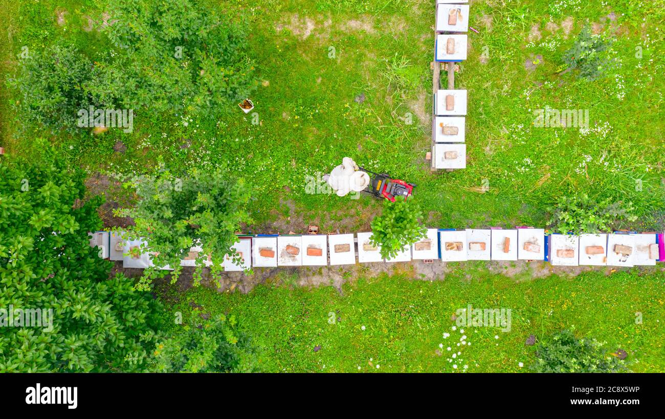 Above view on beekeeper as he is cutting grass among beehives arranged