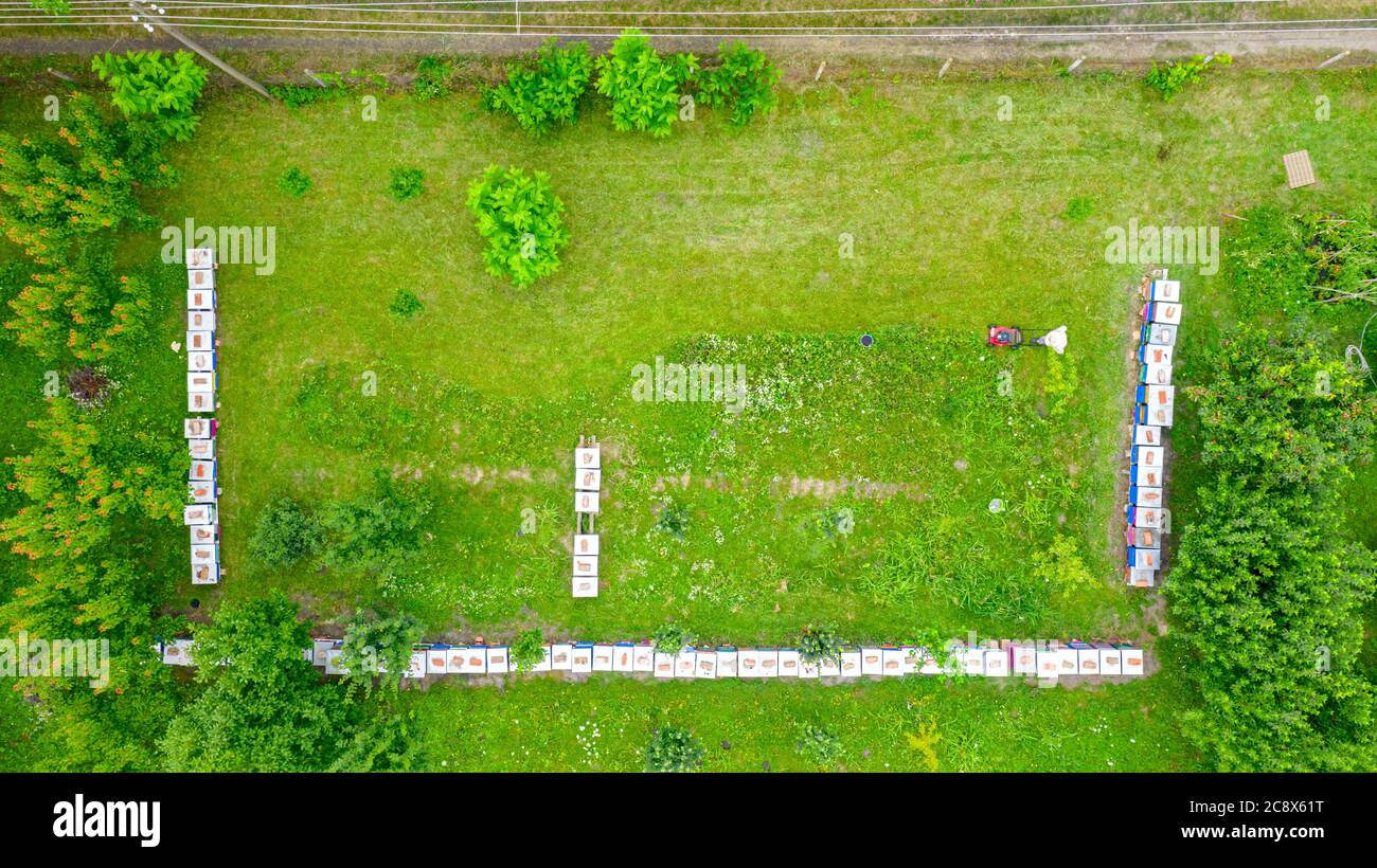 Above view on beekeeper as he is cutting grass among beehives arranged