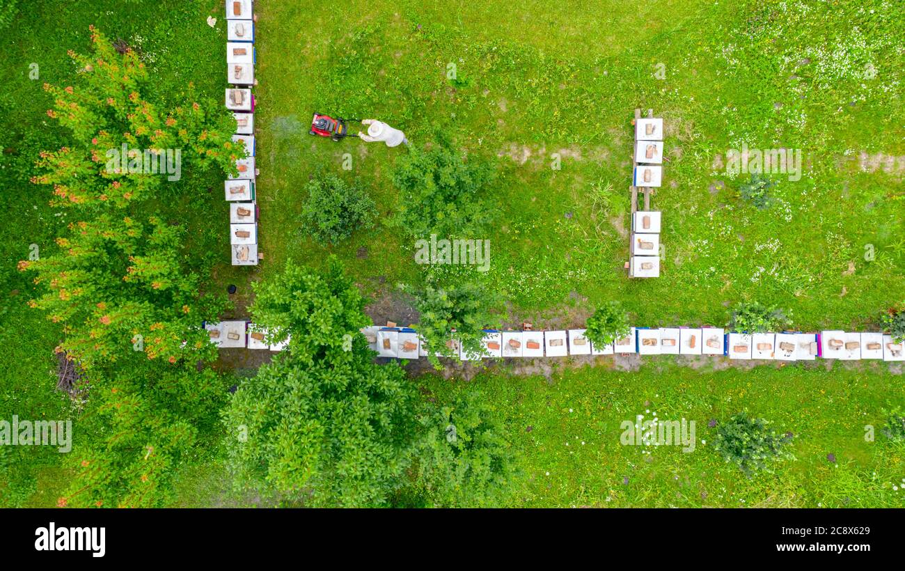 Above view on beekeeper as he is cutting grass among beehives arranged