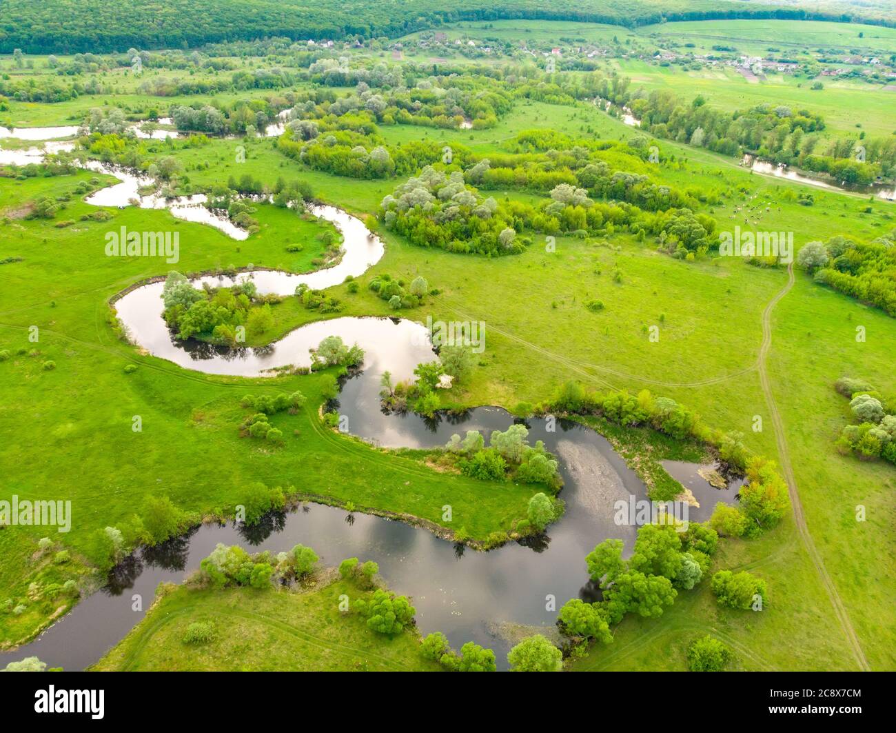 aerial drone landscape of river in green field, top view of beautiful ...
