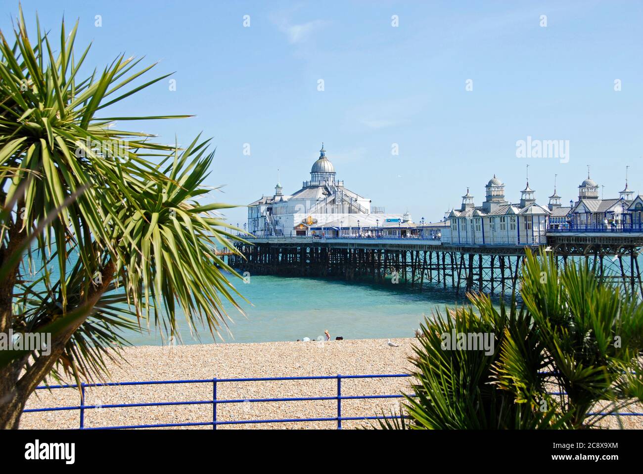 Eastbourne palm trees hires stock photography and images Alamy