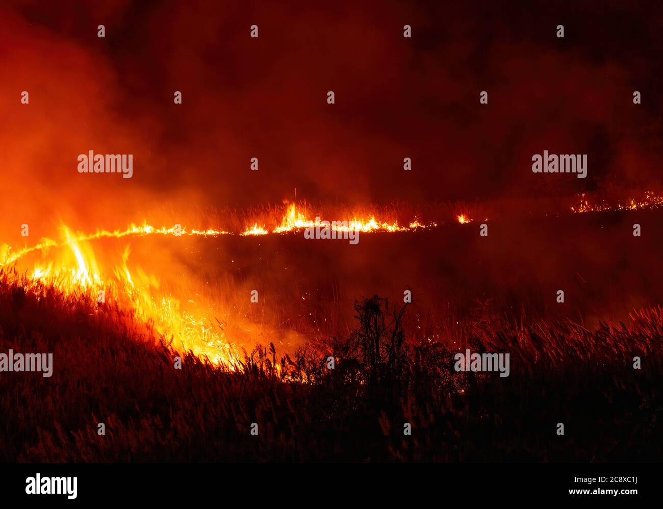 Landscape View of Fire Burning Grass and Trees at Night Stock Photo Alamy