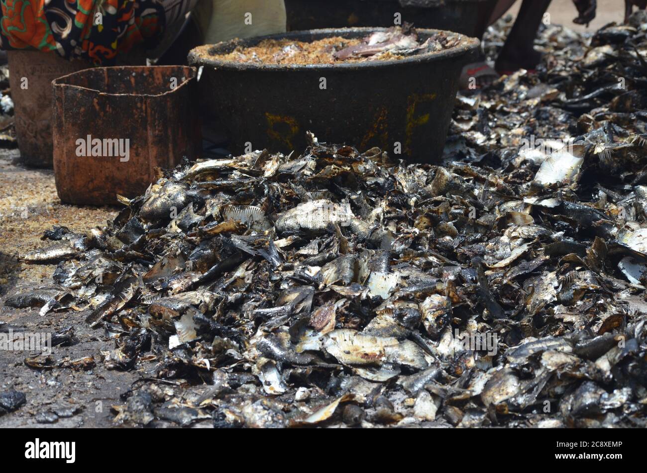 Traditionally braised & salted fish in Mballing, Senegal Stock Photo