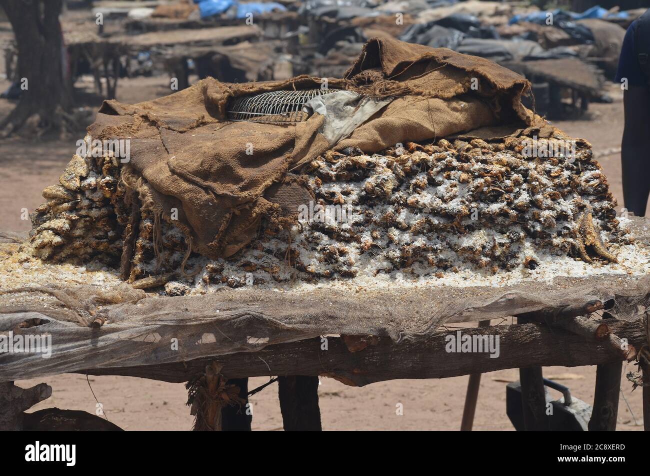 Traditionally braised & salted fish in Mballing, Senegal Stock Photo