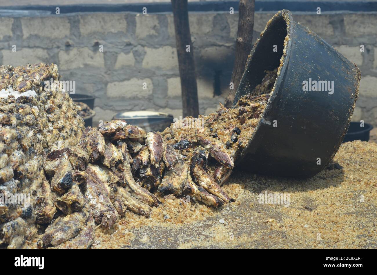Traditionally braised & salted fish in Mballing, Senegal Stock Photo