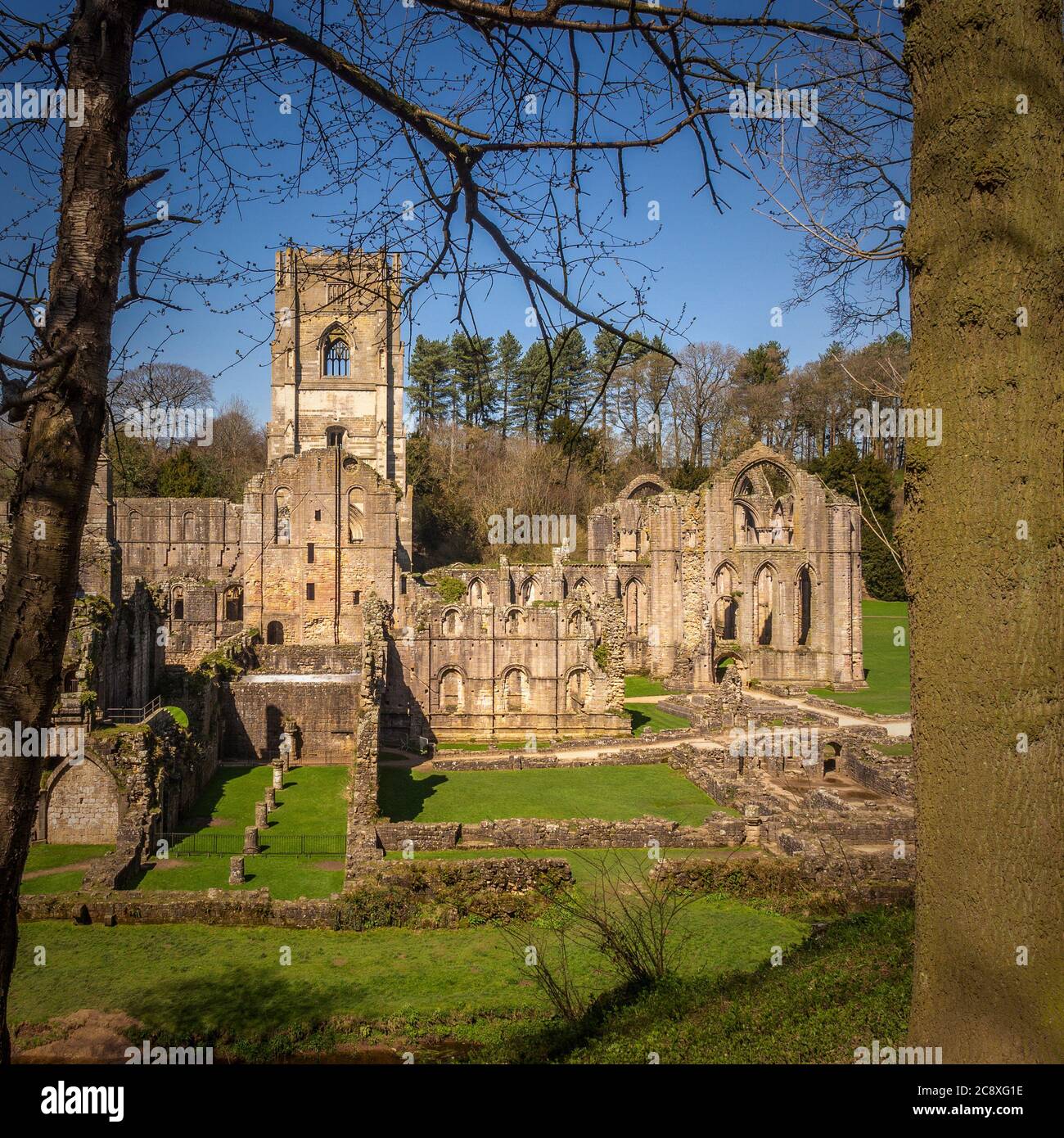 Fountains Abbey ruins, Ripon, UK Stock Photo Alamy