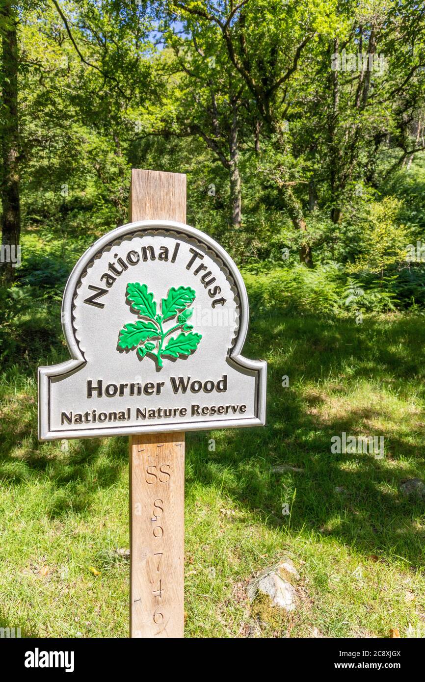 Dunkery and Horner Wood National Nature Reserve sign at Horner Wood on Exmoor National Park, Somerset UK Stock Photo