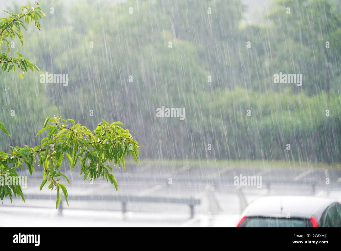 A lot of sale rain