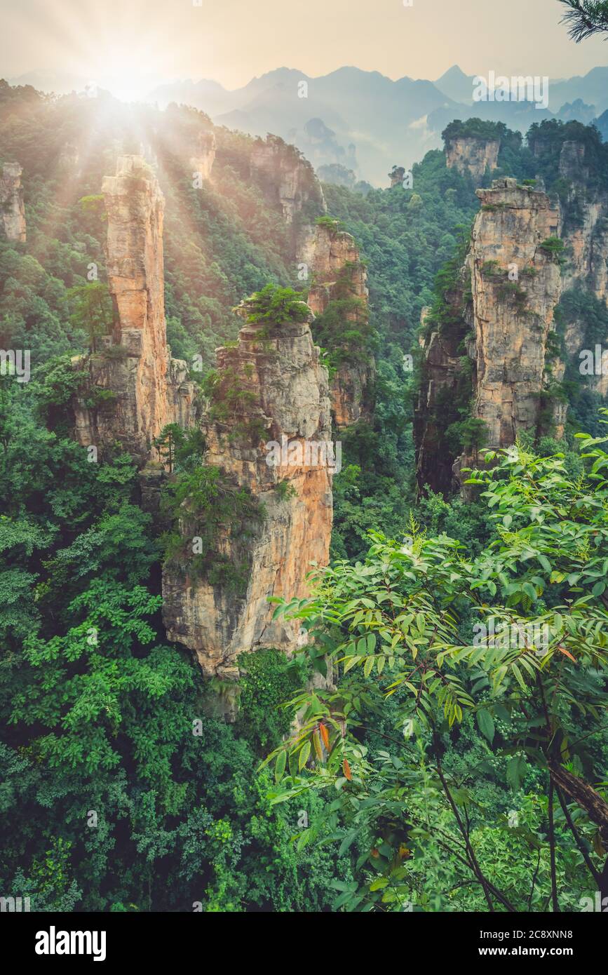 Stunning rock pillars of the Tianzi mountain range, Avatar mountains ...