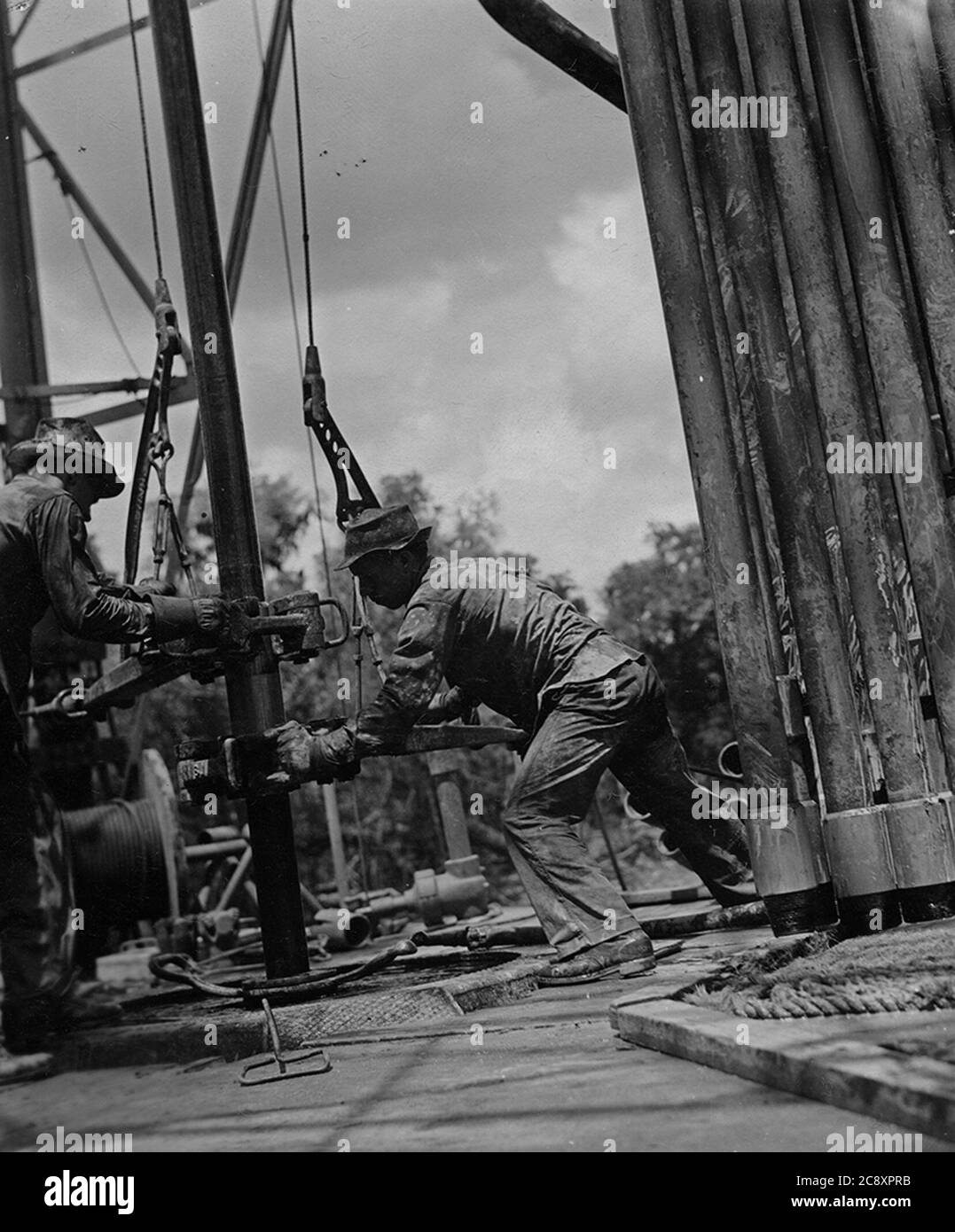 Life Oil Stock Photo Alamy