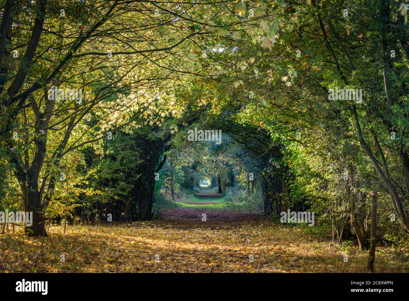 Meridian Walk, Cornmill Meadow, Waltham Abbey, Essex Stock Photo Alamy