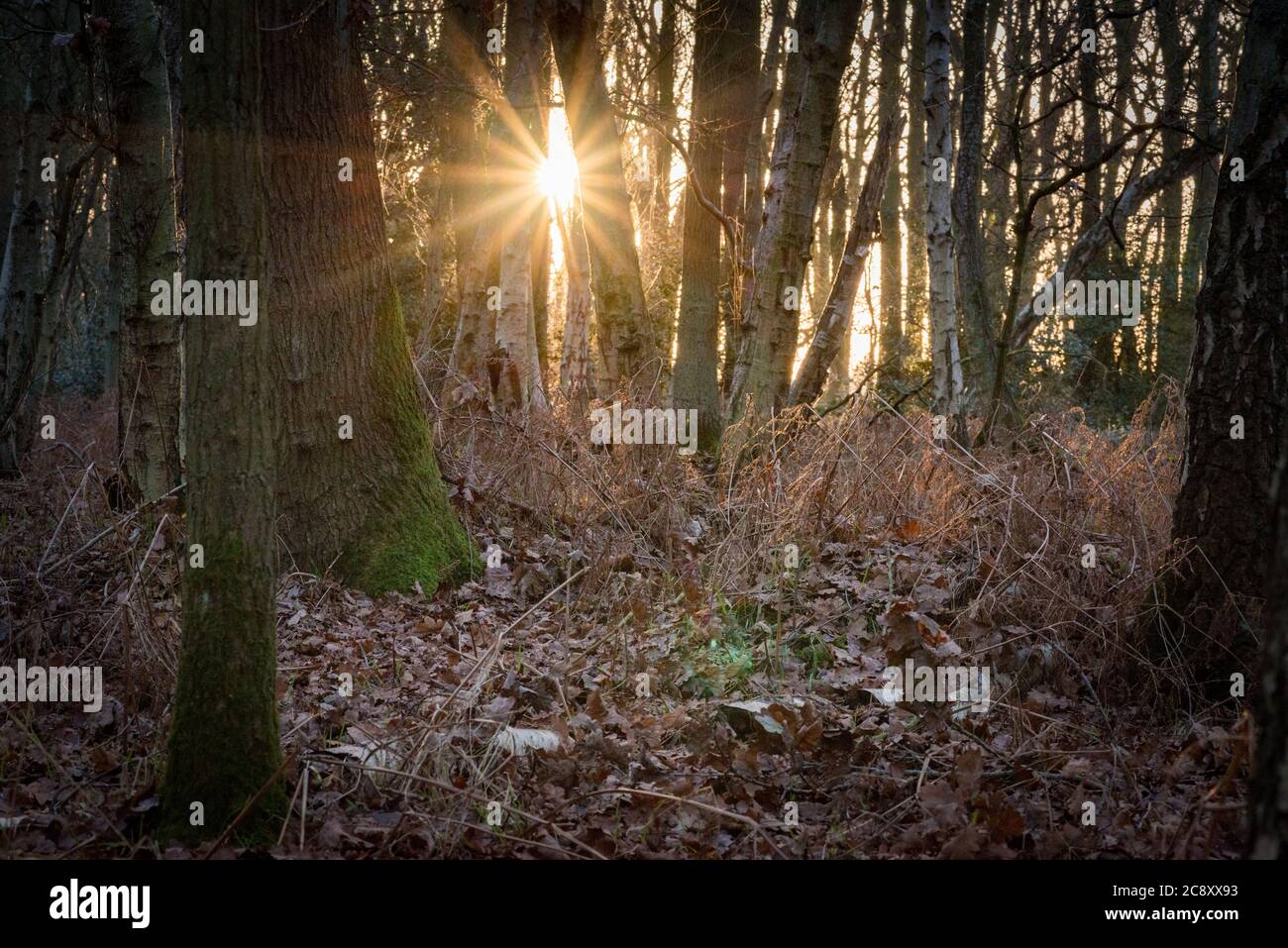 Flitwick High Resolution Stock Photography and Images - Alamy