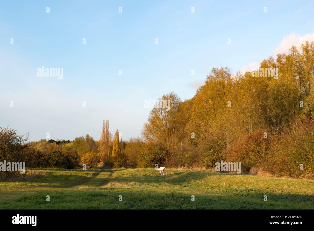 Cornmill Meadow in the Lee Valley Country Park, Essex, UK Stock Photo