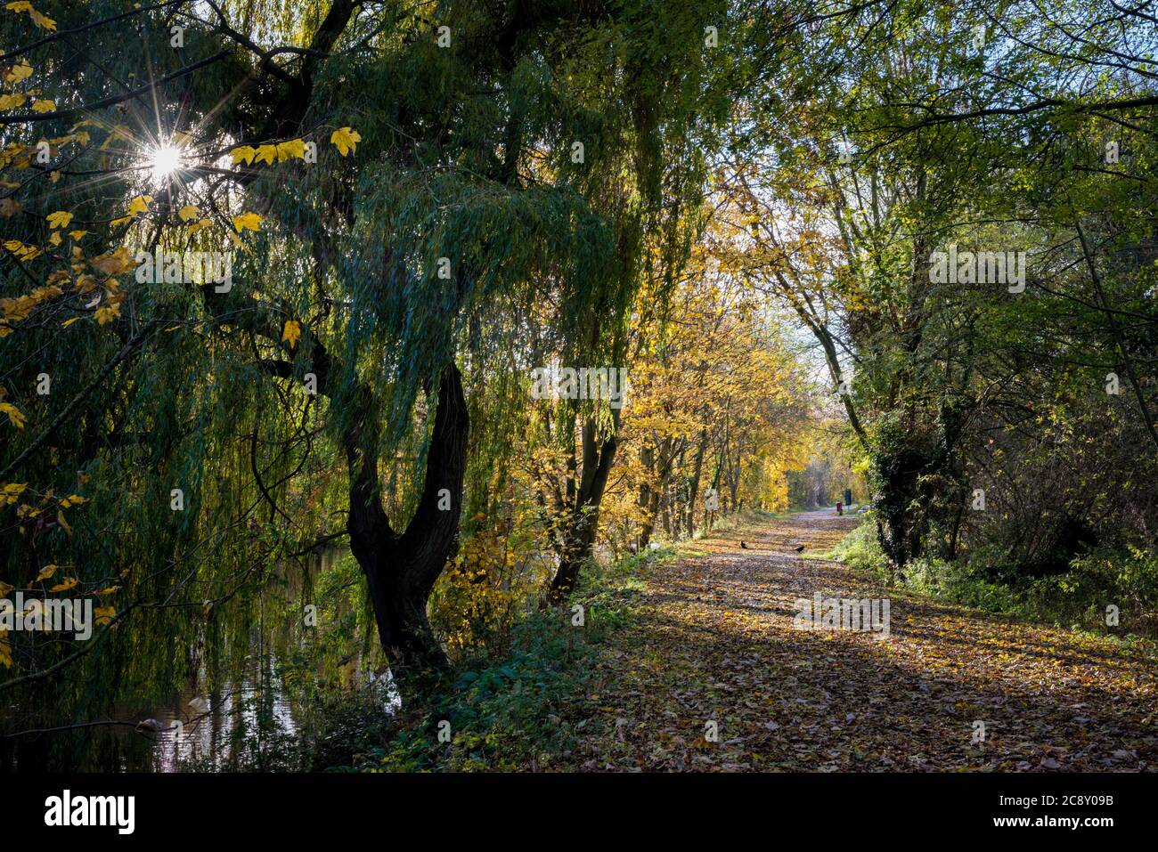 A paved path through the Lee Valley Country Park alongside the Old River Lea, Hertfordshire, UK Stock Photo