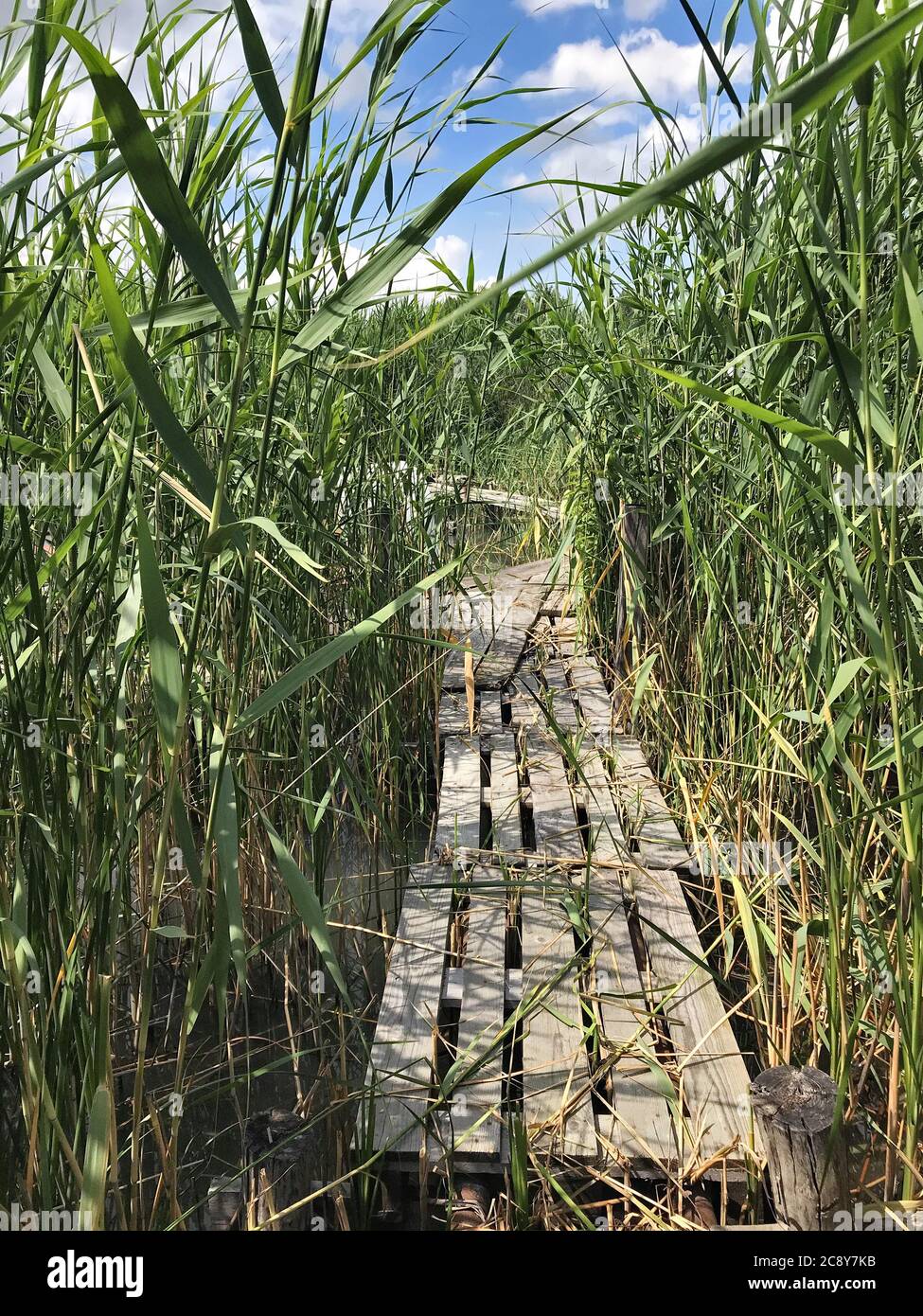 Wooden bridges leading to the Parking lot of fishing boats through the