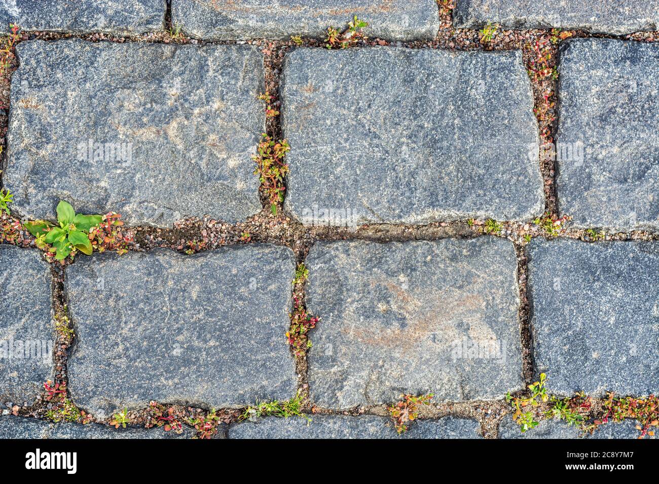 Fragment of a pavement pavement for use as an abstract background and texture Stock Photo