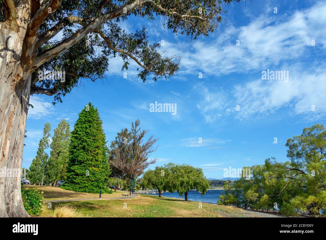 Footpath along the shore of Lake Te Anau, Te Anau, Southland, South Island, New Zealand Stock Photo