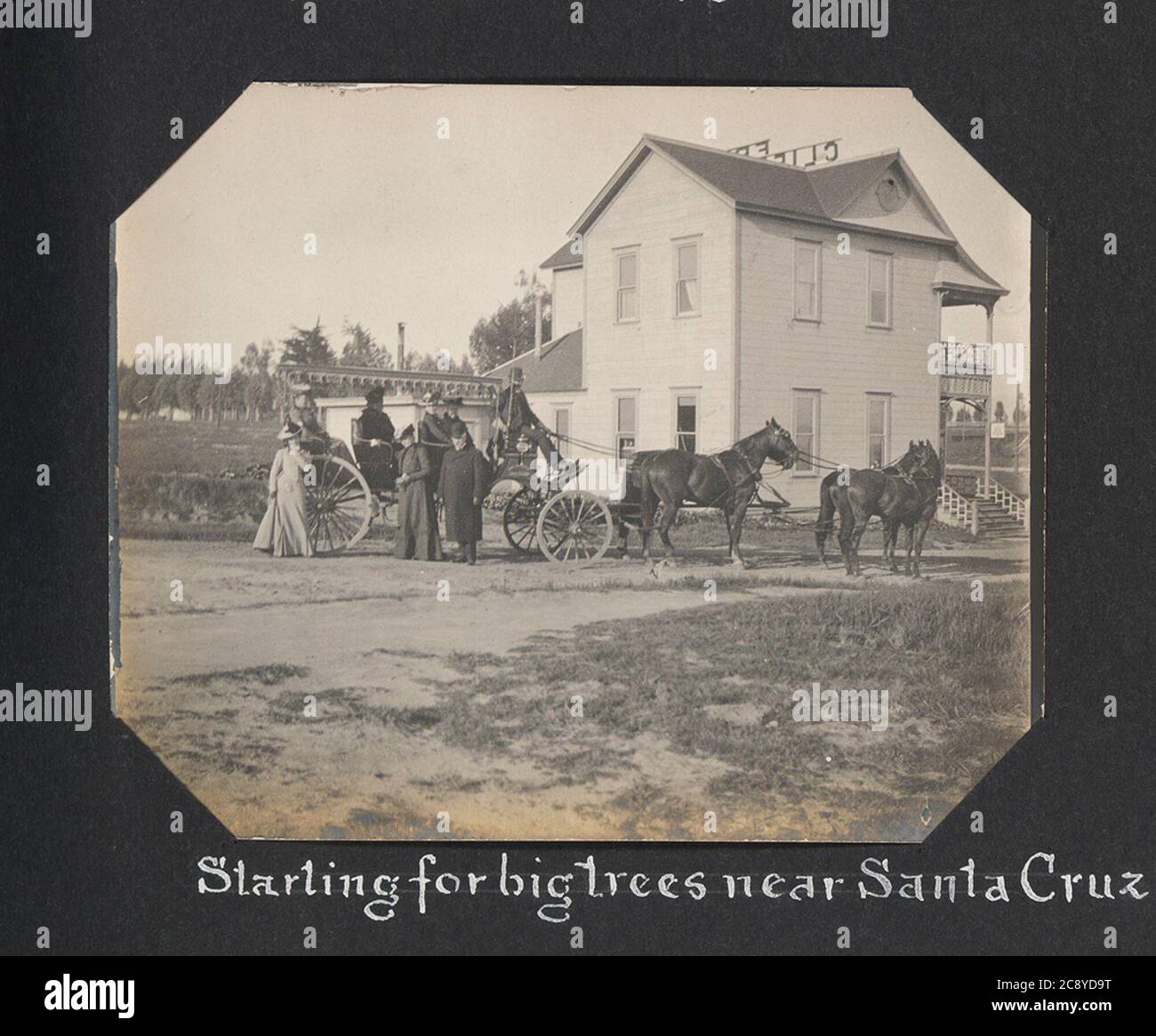 Big trees santa cruz hires stock photography and images Alamy