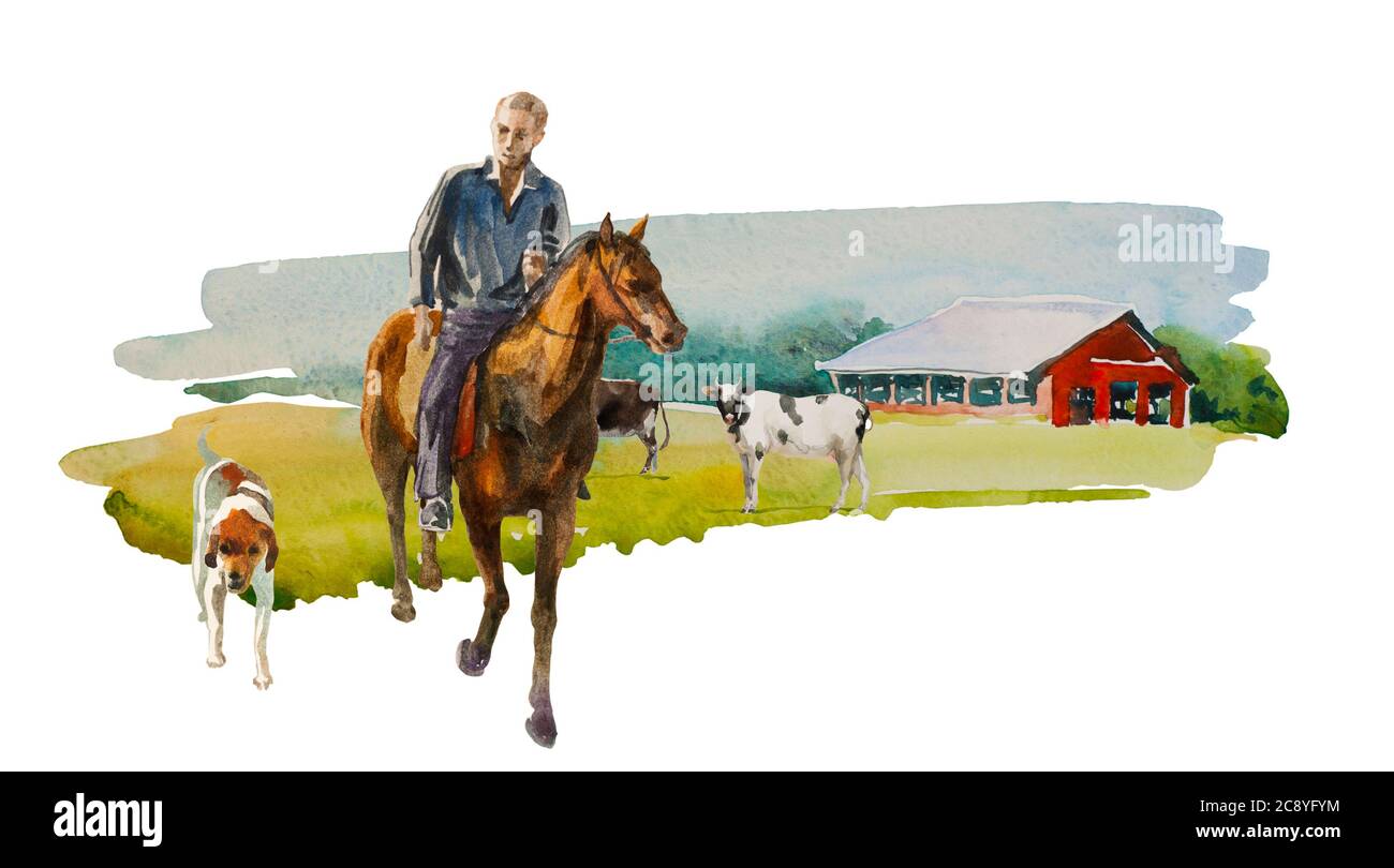 Horseback shepherd riding brown horse, with his dog take a look for a cows on agricultural watercolor landscape with red barn. Stock Photo