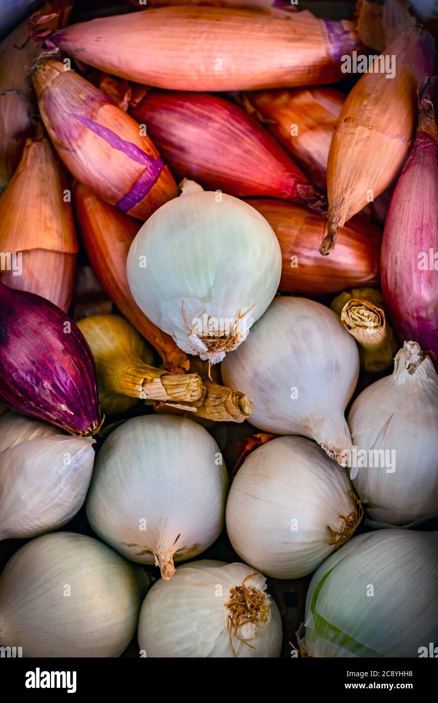 Onion box hi-res stock photography and images - Alamy
