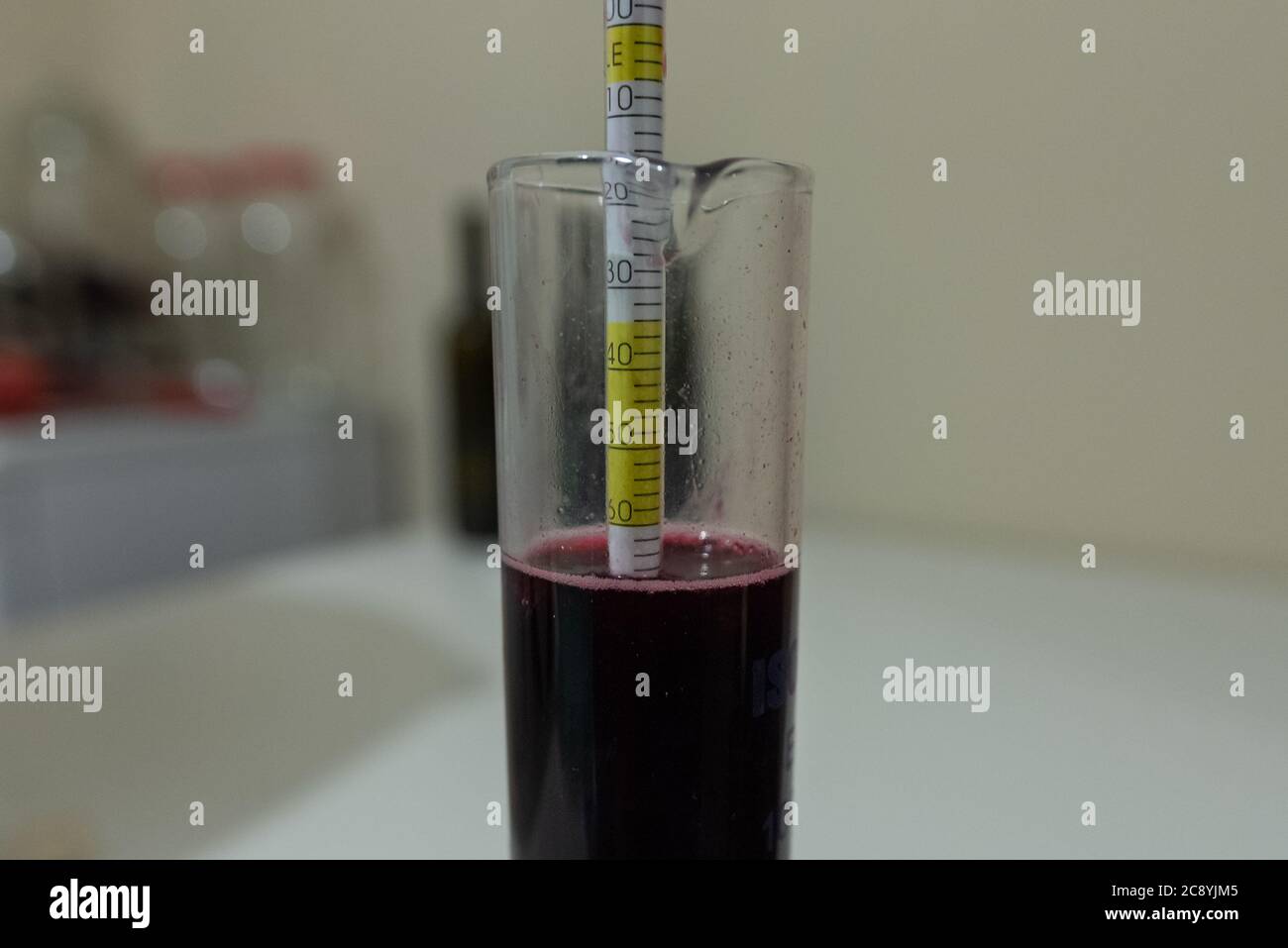 Hydrometer is one of the most important equipment to make a tasty wine