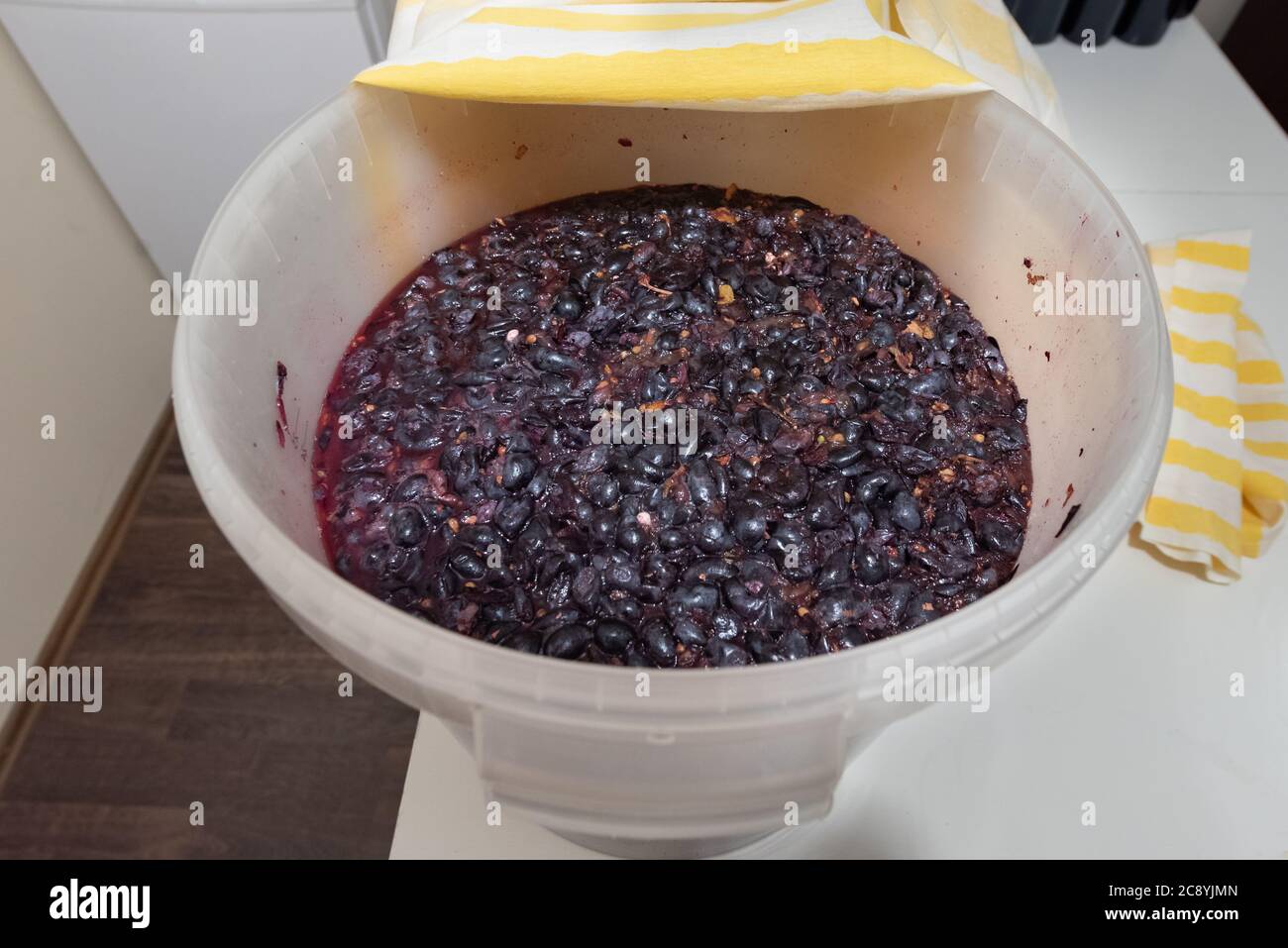 Grapes are ready to turn into wine with the help of yeast Stock Photo