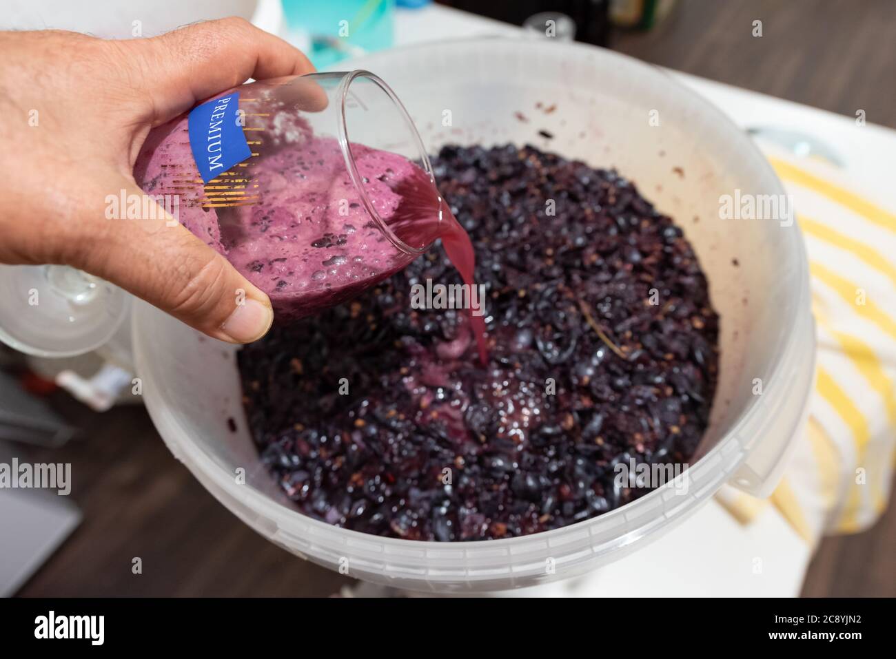 Grapes are ready to turn into wine with the help of yeast Stock Photo