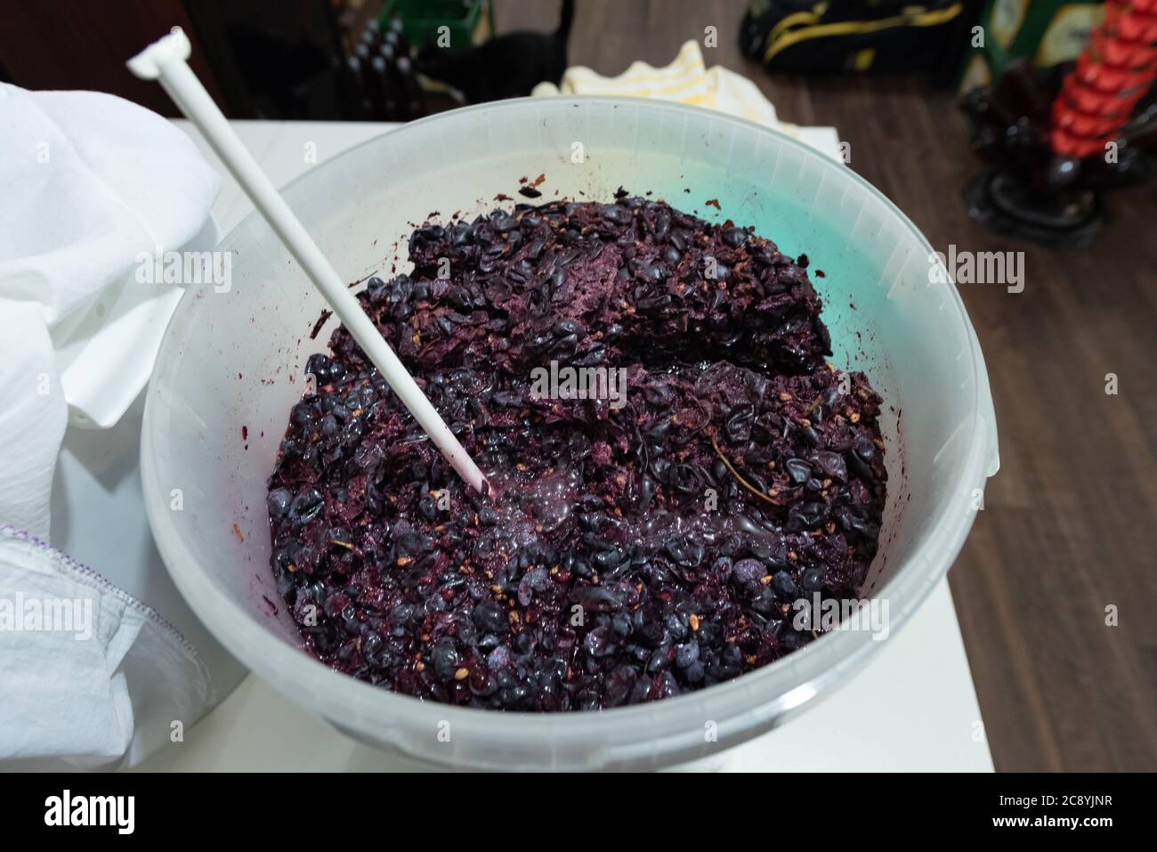 Grapes are ready to turn into wine with the help of yeast Stock Photo