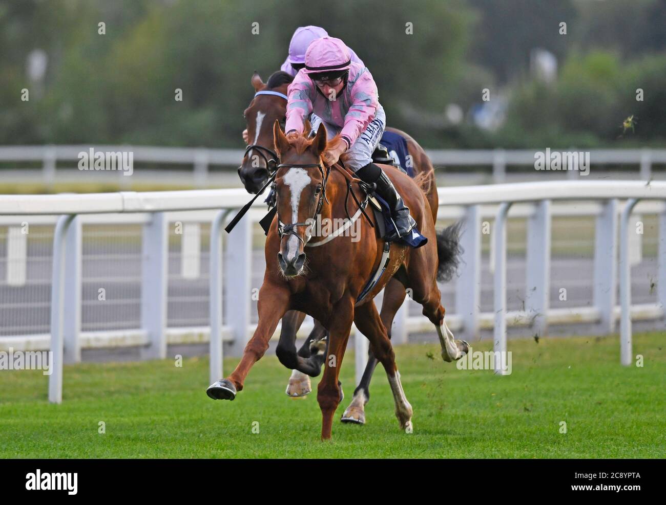 Urban Artist ridden by Tom Marquand wins the Sky sports Racing HD Virgin 535 Fillies’ Novice Median Auction Stakes at Royal Windsor Racecourse. Stock Photo