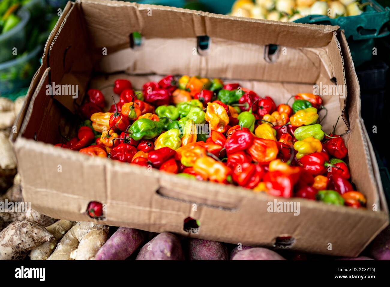 Hot chilli peppers on sale in an open air market, UK Stock Photo