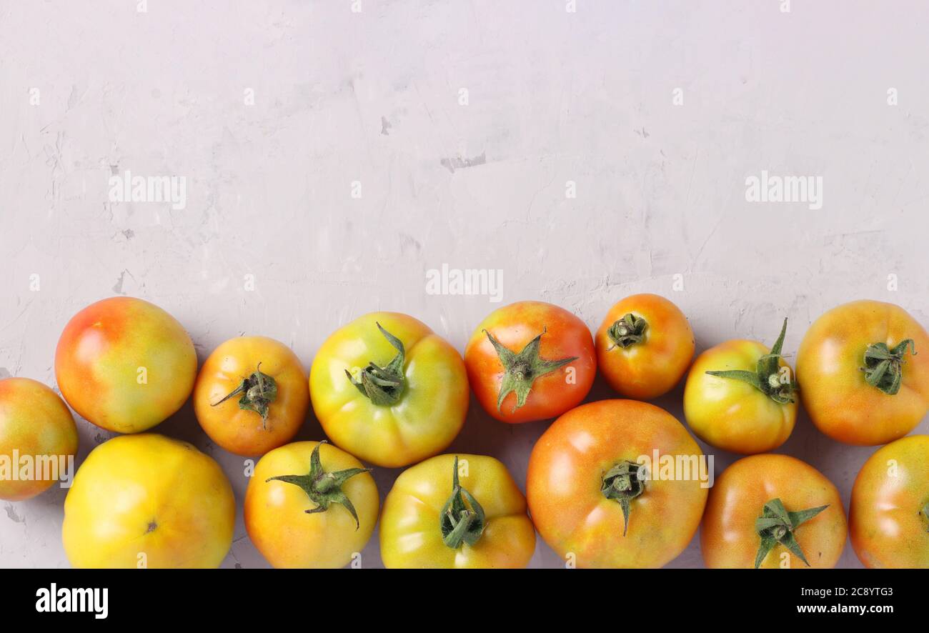 Tomato plant set unripe hi-res stock photography and images - Alamy