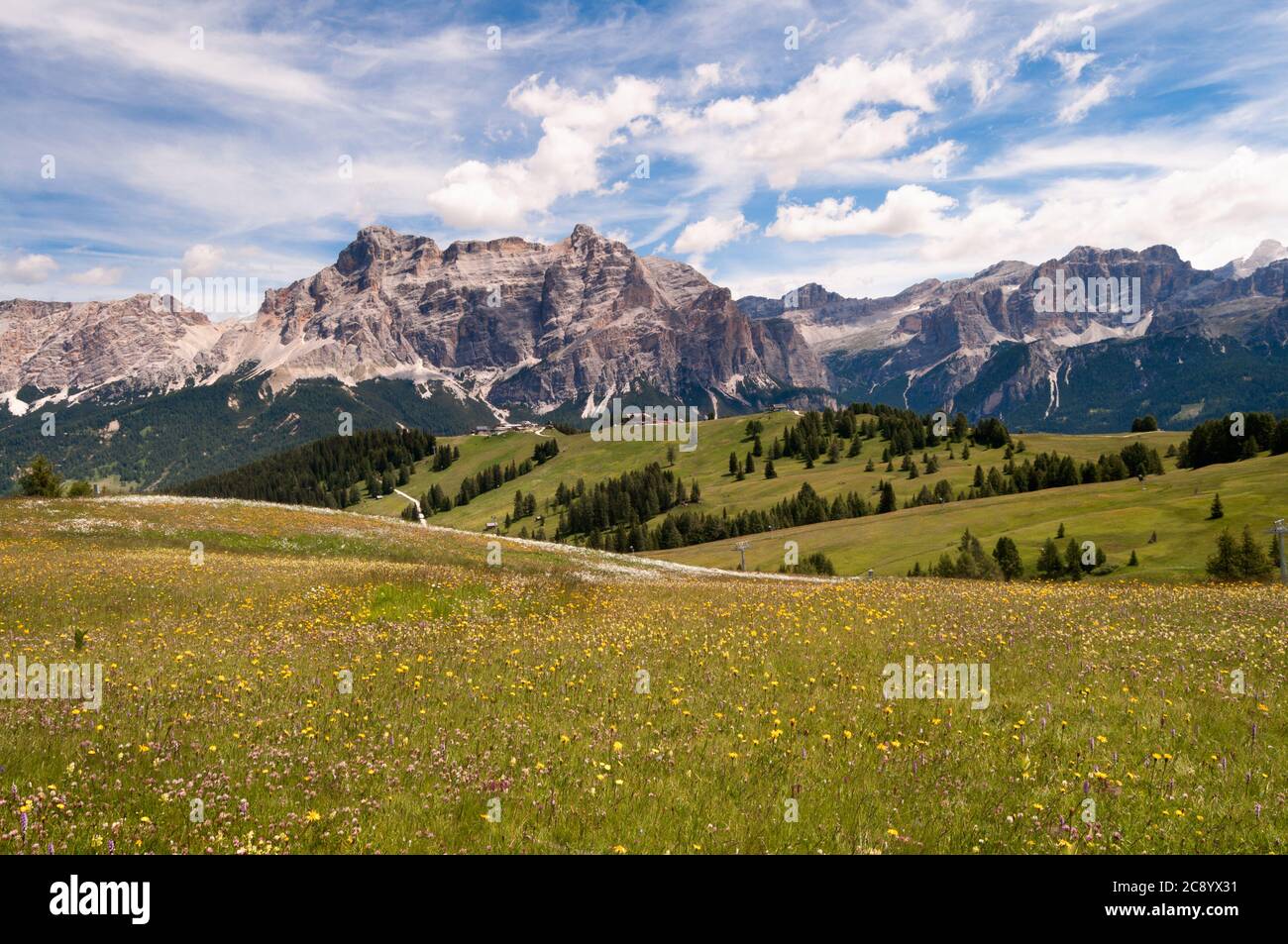meadows and mountains in the Italian Dolomites under a cloudy sky Stock ...